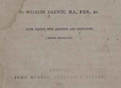 tumblr_nikh41riFi1u59b9oo1_1280