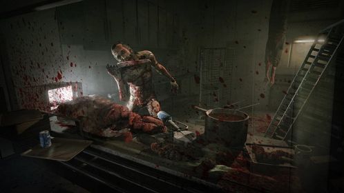 Zdjęcie okładkowe wpisu Pierwsze rozszerzenie do gry Outlast opóźnione na PC i PS4
