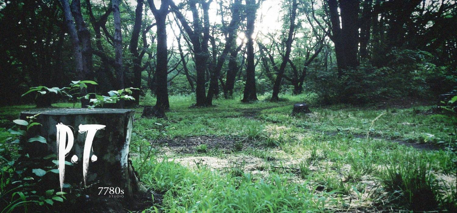 Zdjęcie okładkowe wpisu Pierwsze wrażenia – P.T., czyli Silent Hills