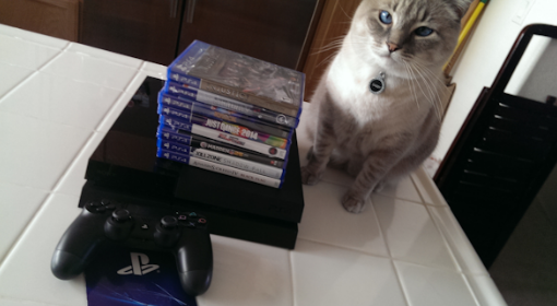 Zdjęcie okładkowe wpisu Oto gracz, który posiada wszystkie pudełkowe gry na PS4