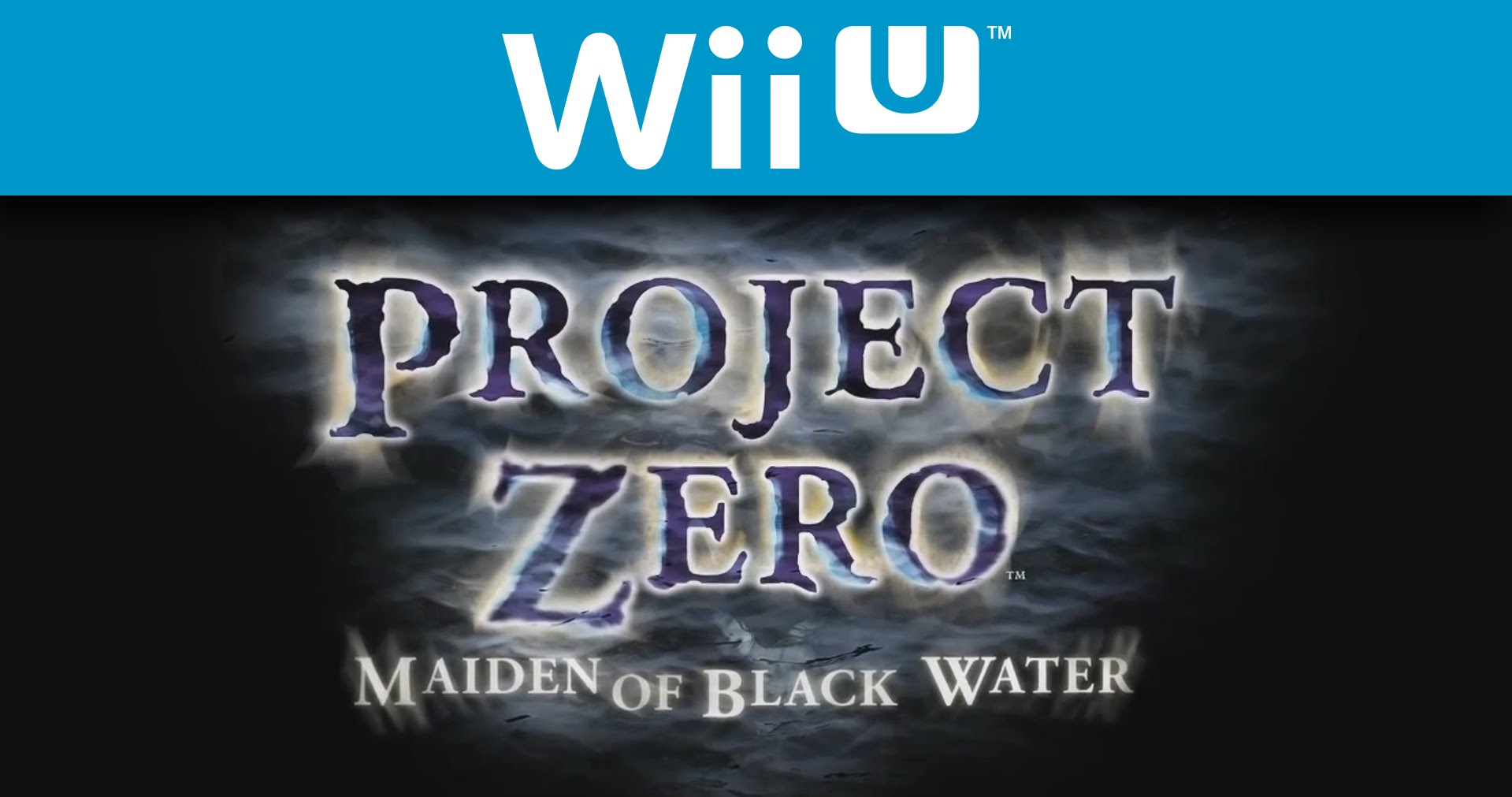 Zdjęcie okładkowe wpisu Nowy zwiastun gry Project Zero: Maiden Of Black Water (Fatal Frame)