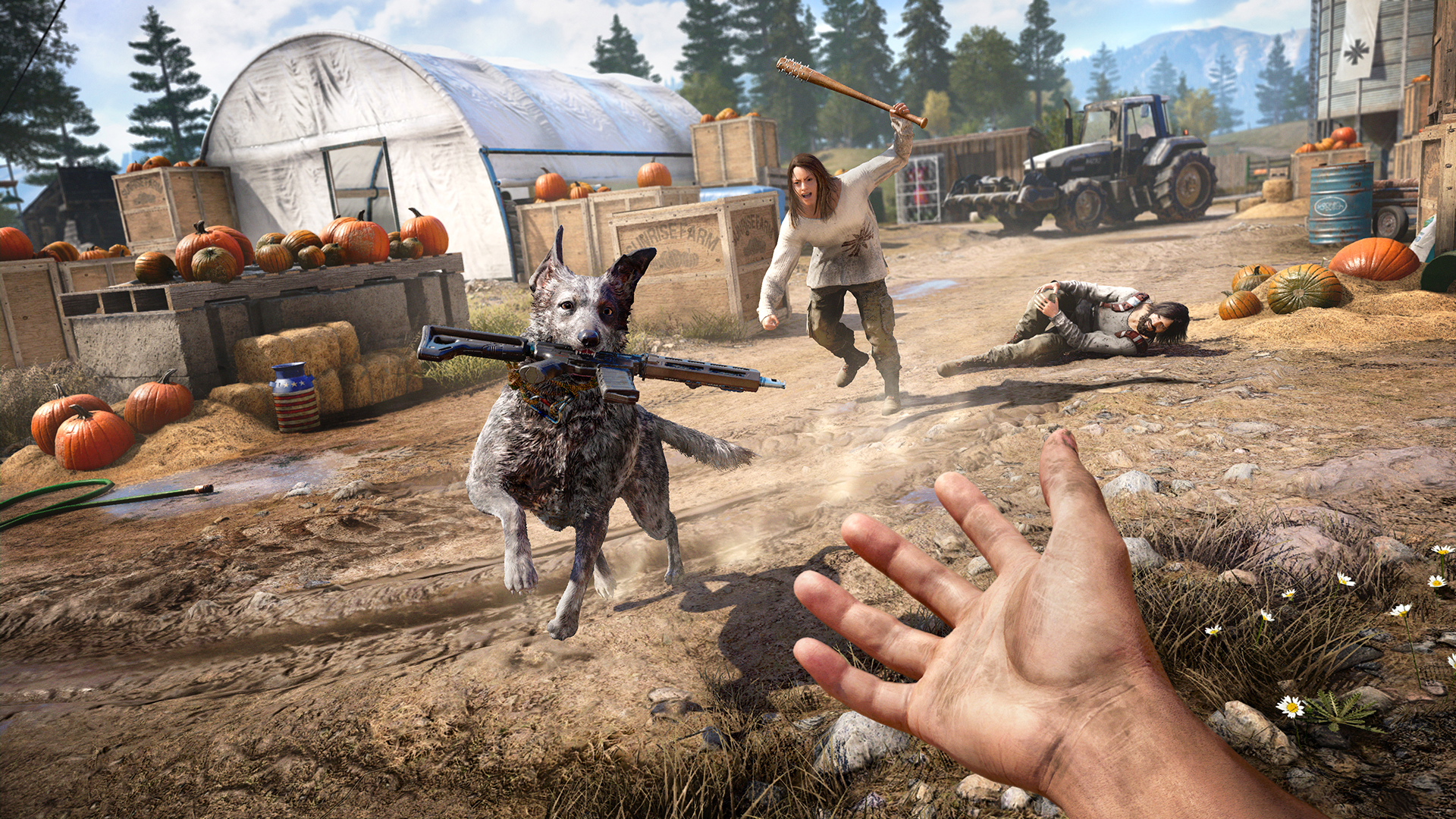 Zdjęcie okładkowe wpisu Nowy zwiastun do Far Cry 5