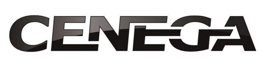 Zdjęcie okładkowe wpisu Cenega nowym wydawcą gier Activision