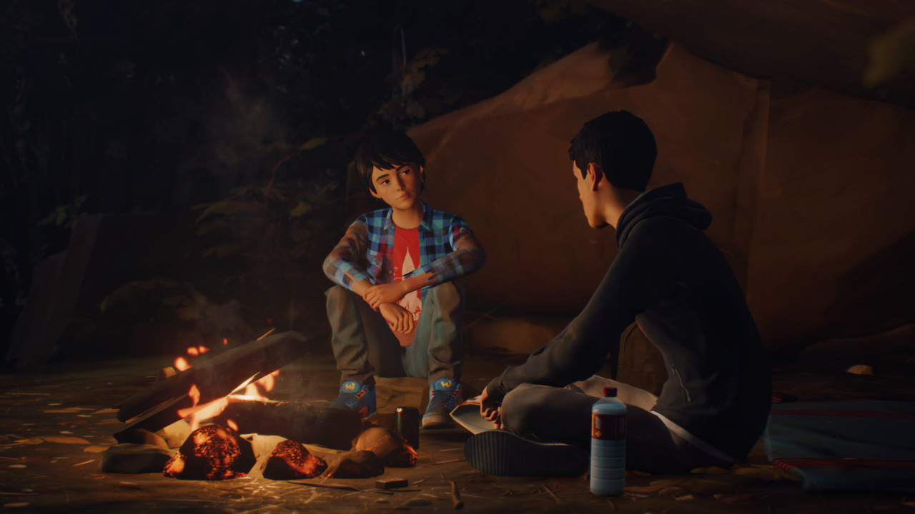 Zdjęcie okładkowe wpisu Do Life is Strange 2 powrócimy w styczniu