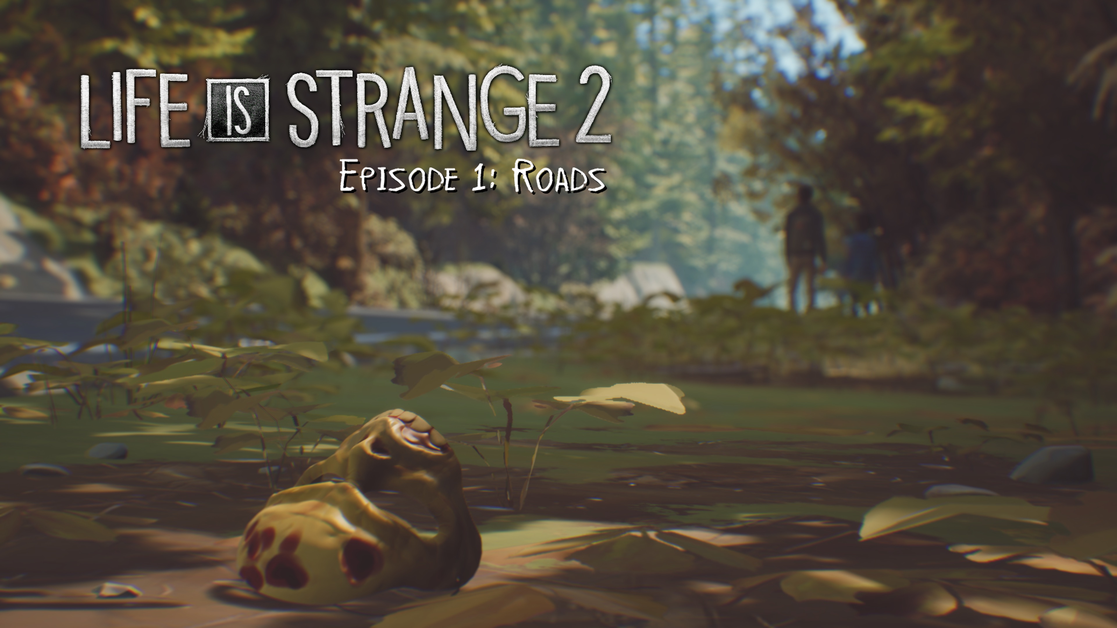 Zdjęcie okładkowe wpisu Recenzja: Life is Strange 2 Episode 1: Roads