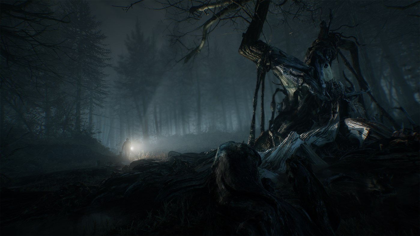 Zdjęcie okładkowe wpisu Nadchodzące Blair Witch w 4K