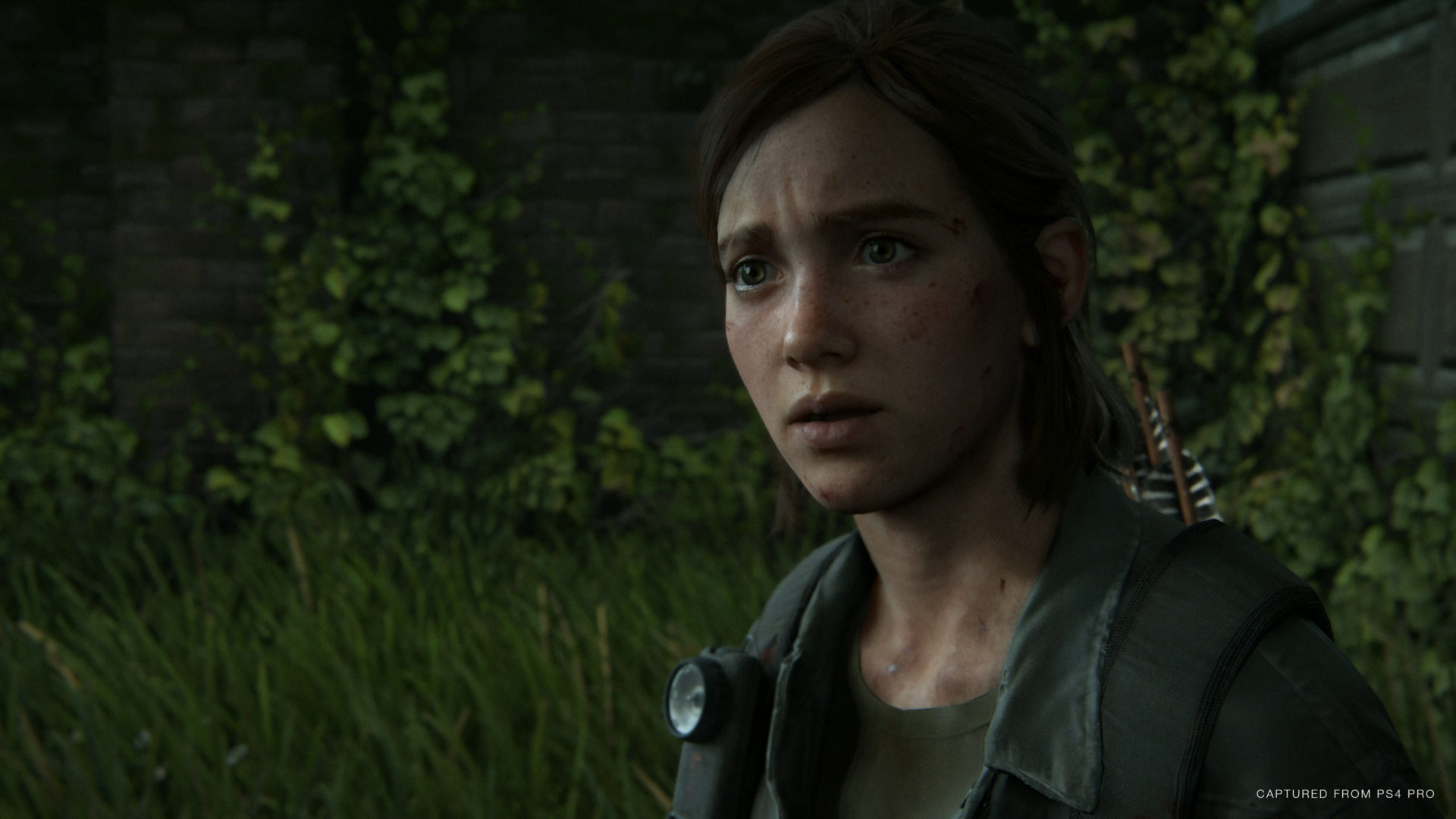 Zdjęcie okładkowe wpisu The Last of Us Part II z łatką 1.05