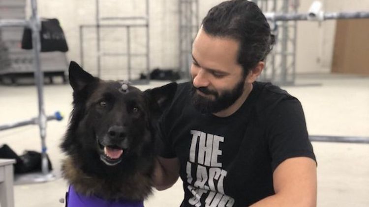 Zdjęcie okładkowe wpisu The Last of Us: Part 2 – psy w motion capture