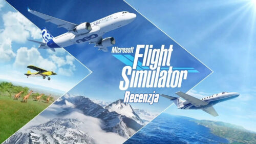 Microsoft Flight Simulator