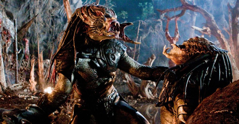 Zdjęcie okładkowe wpisu Znamy zarys fabularny przyszłorocznego Predatora 5.