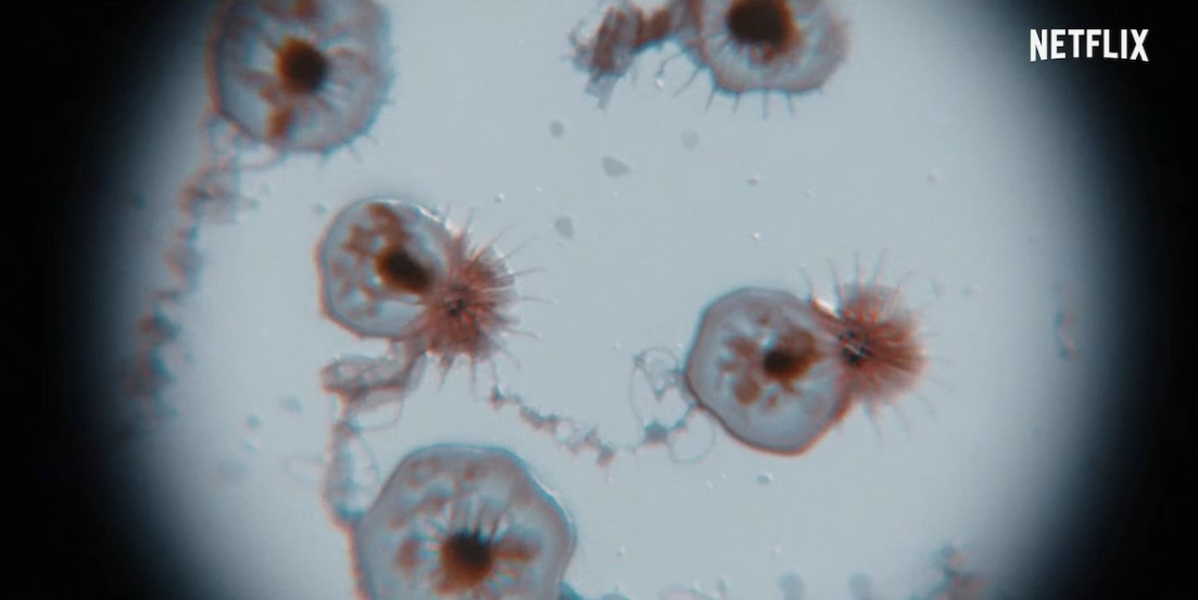 Zdjęcie okładkowe wpisu Jest i trailer Resident Evil od Netflixa